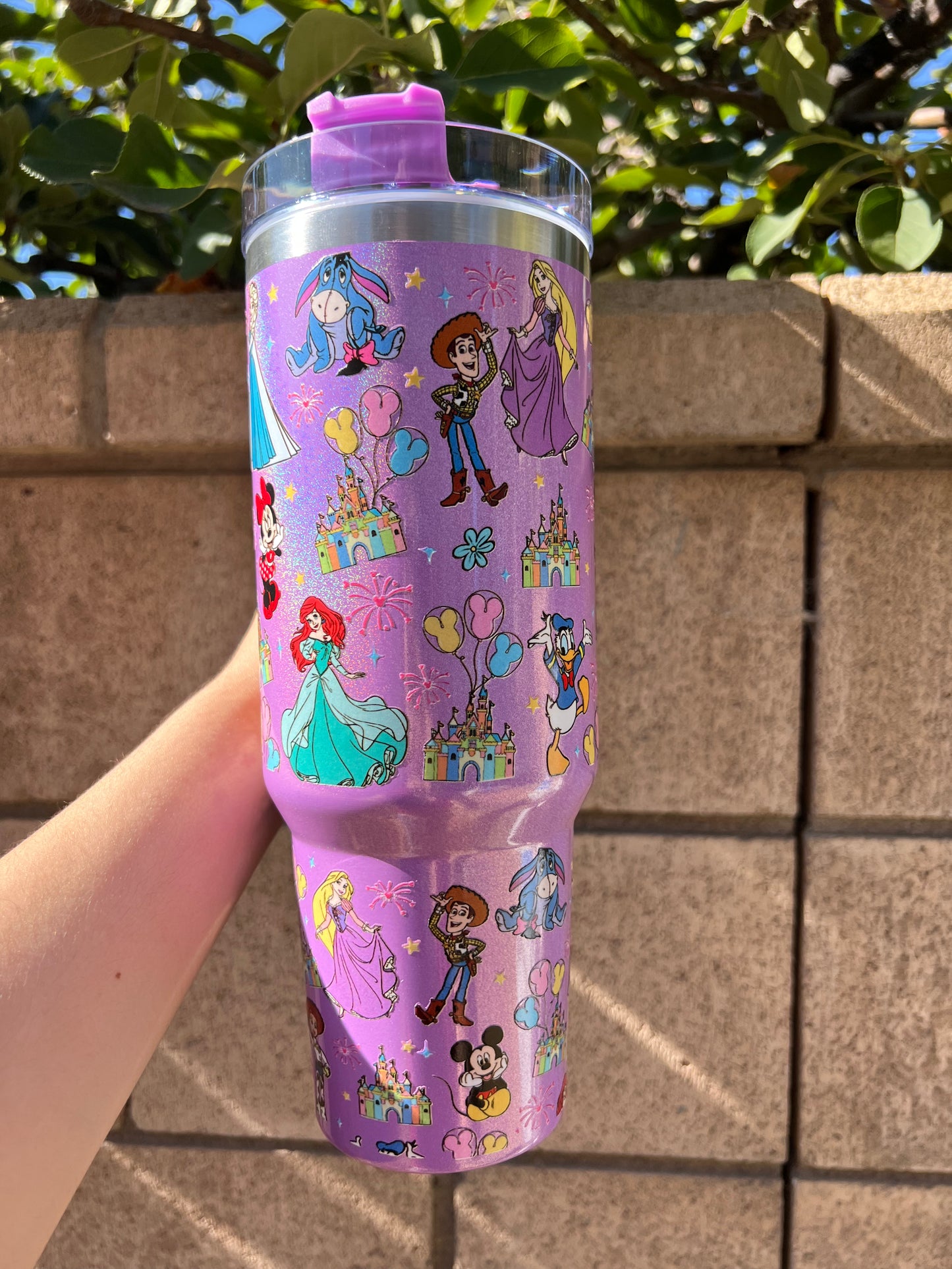 Disney Trip
